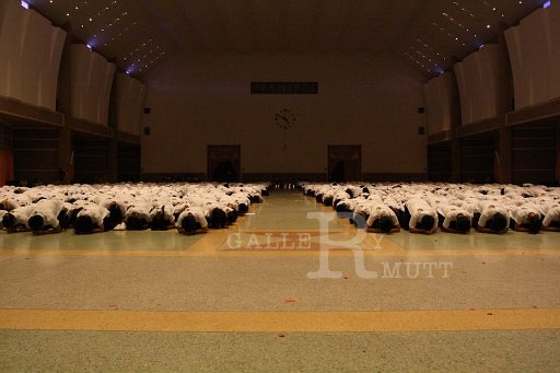 MCT078 - Copy (3).JPG - ºÒÂÈÃÕ
